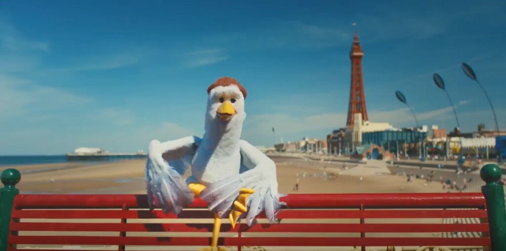 seagull blackpool