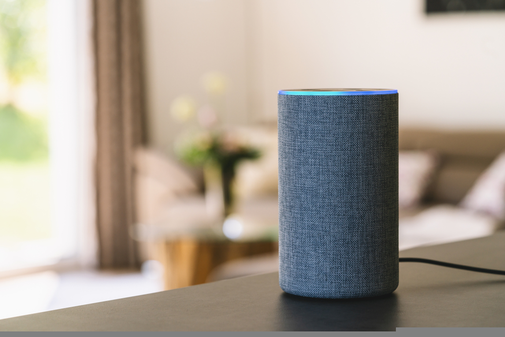 smart speaker