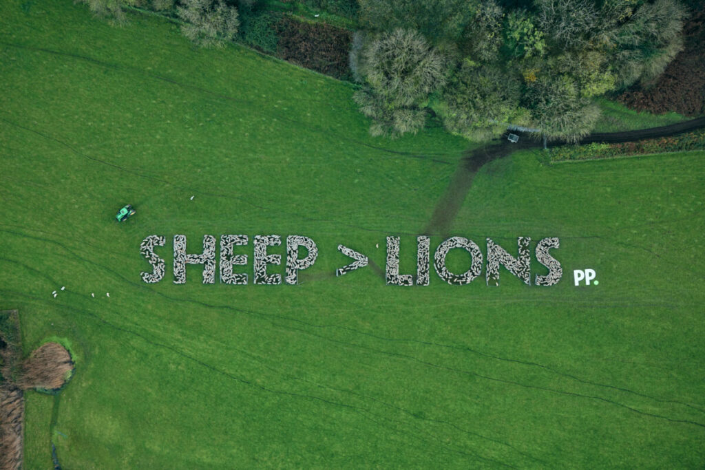 Paddy Power has pledged allegiance to its 'Celtic cousins' in its latest Wales-supporting campaign ahead of the England Wales game tonight.