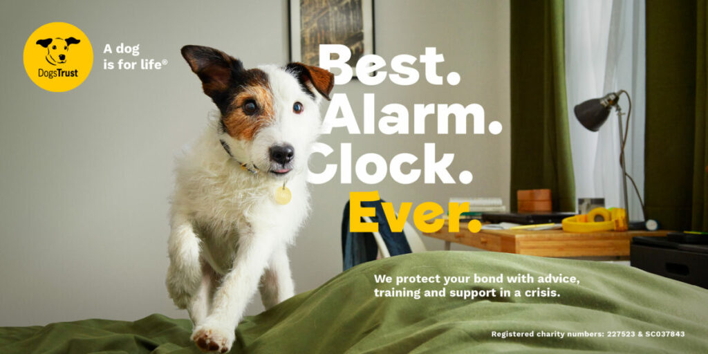 dogs trust