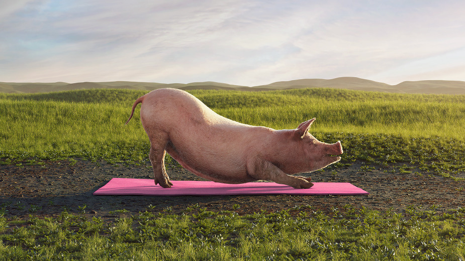vegan