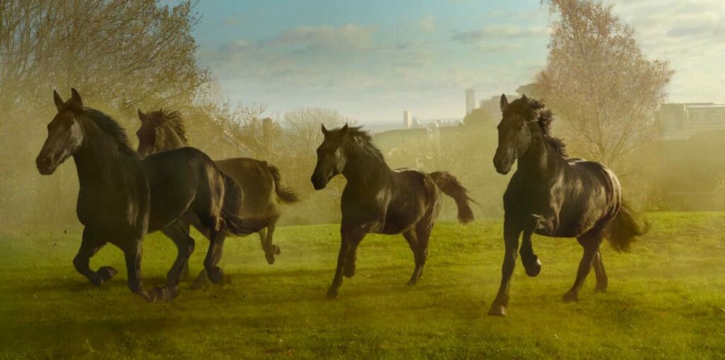 lloyds
