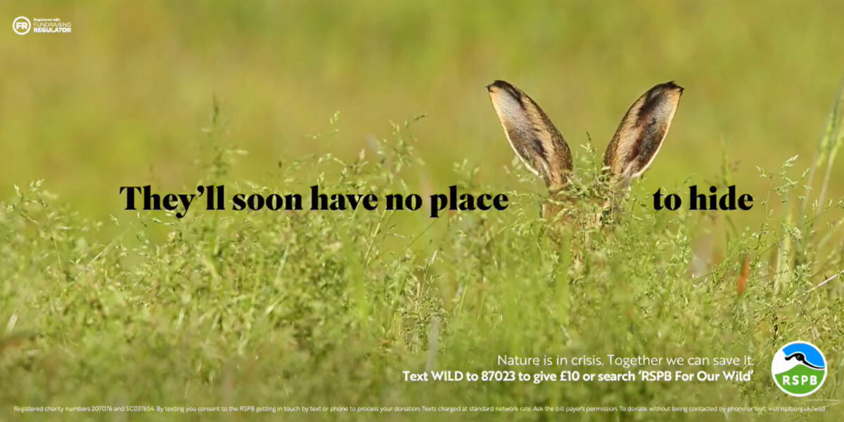 The RSPB has unveiled a multi-channel integrated fundraising campaign in a bid to ask the nation to take action for UK nature.