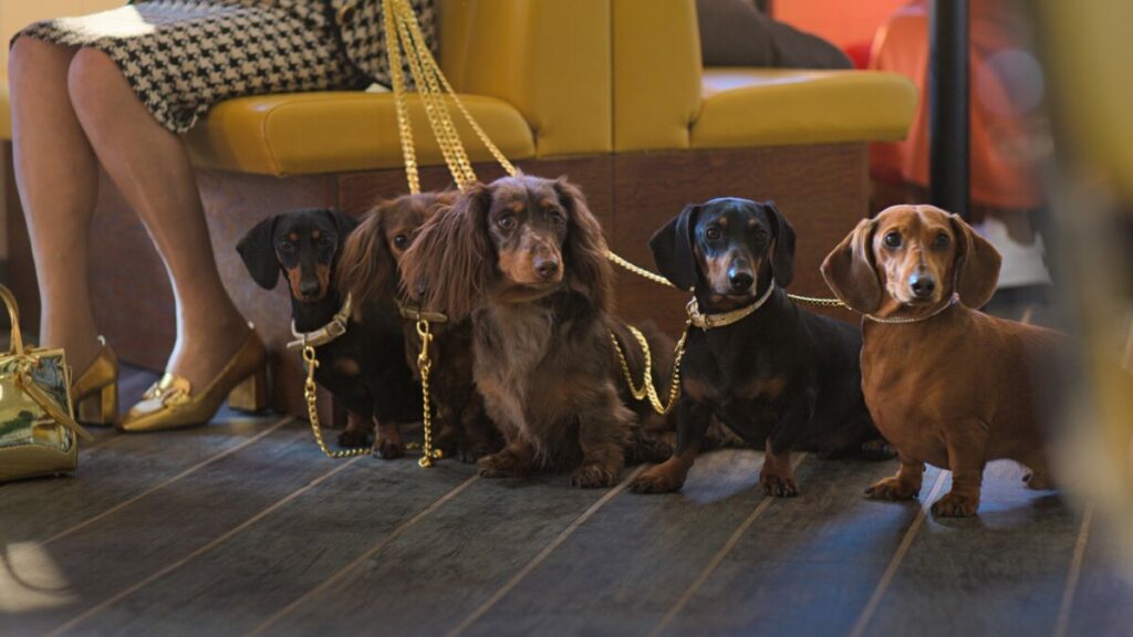 Gala Bingo has unveiled a new audio radio campaign that features 40,964 unique adverts to celebrate five things in a (bingo) row.