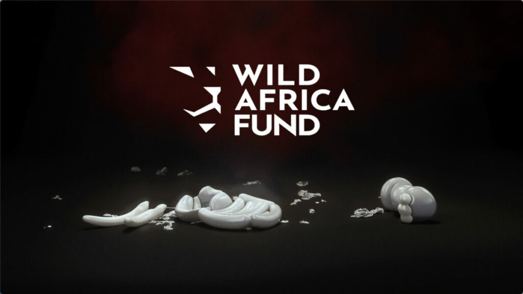wild africa