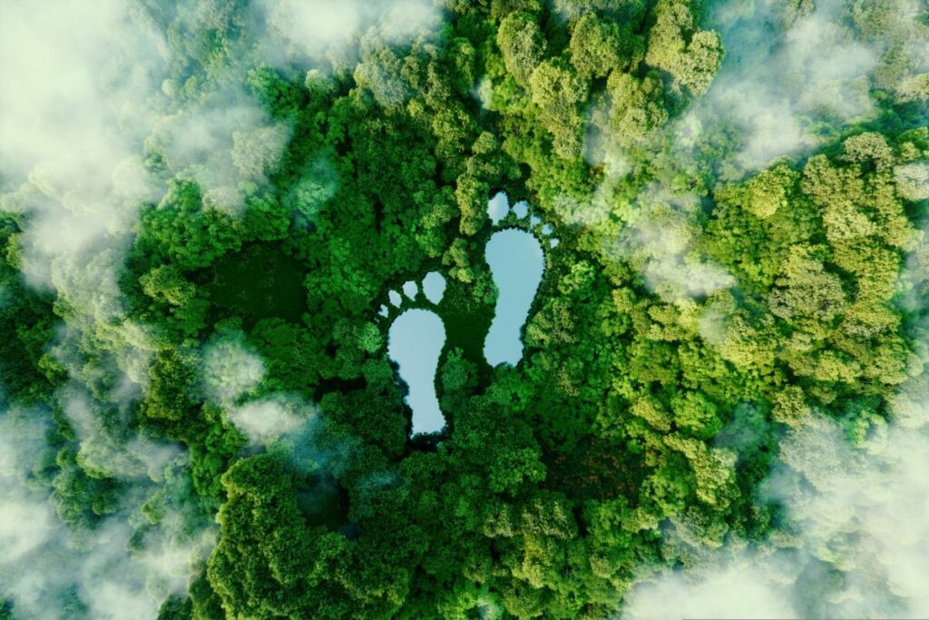 After an investigation by The Guardian revealed that more than 90% of carbon offset schemes are worthless, the ASA (Advertising Standards Authority) could clamp down harder on carbon neutral claims.