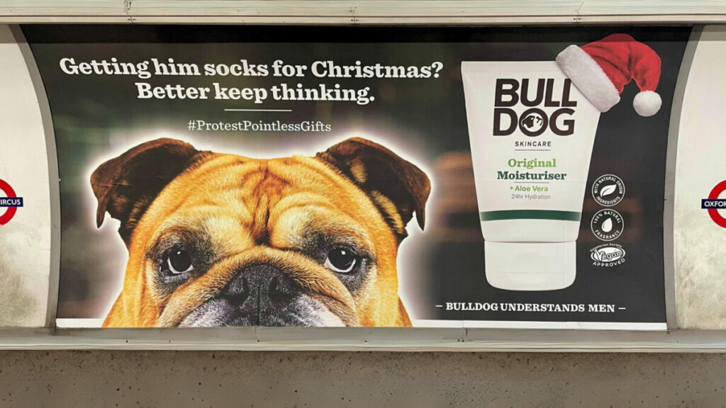 bulldog