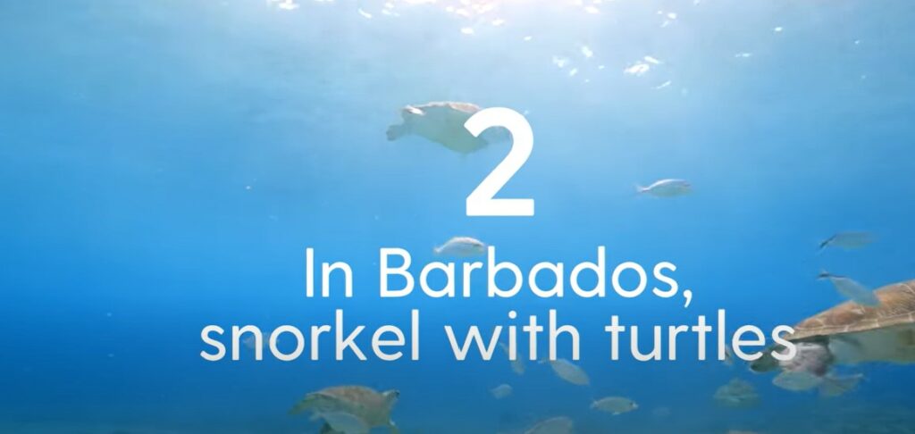 Snippet from P&O ferries advert. As holiday booking season commences, P&O cruises has launched a fresh brand platform – with a 40-second ad set in the Caribbean at its centre.