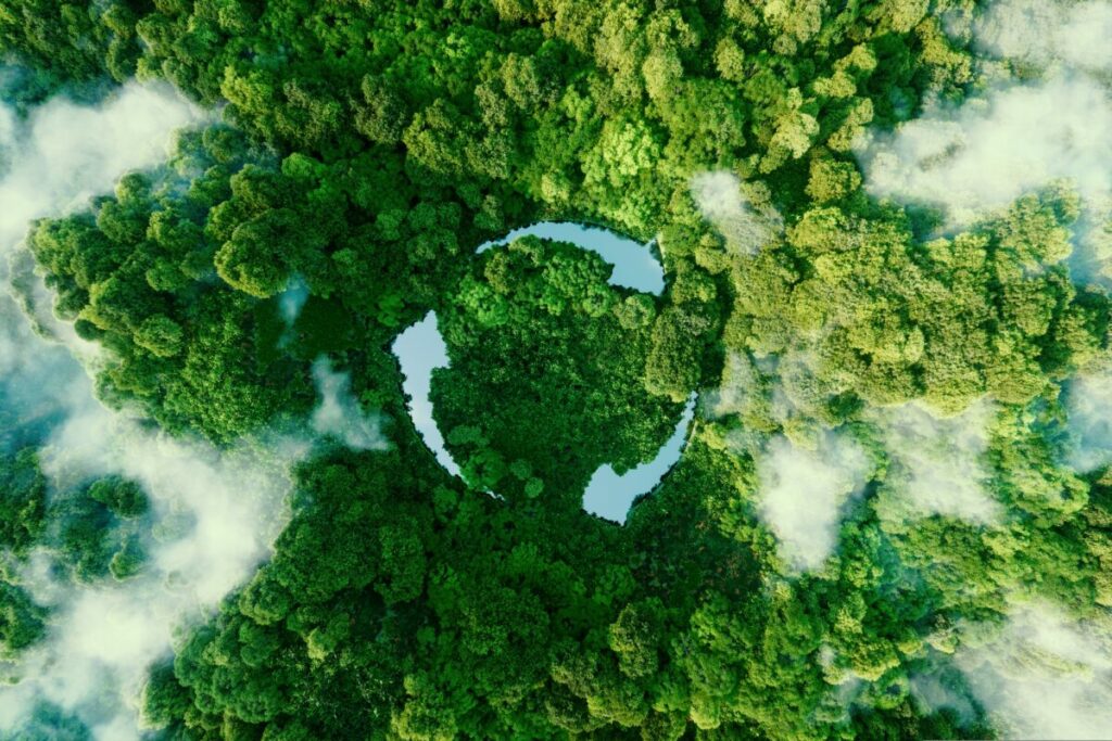 Image representing sustainability. Adaptive streaming specialist SeenThis has relaunched its Emissions Dashboard which enables advertisers to assess the carbon footprint of their marketing campaigns.