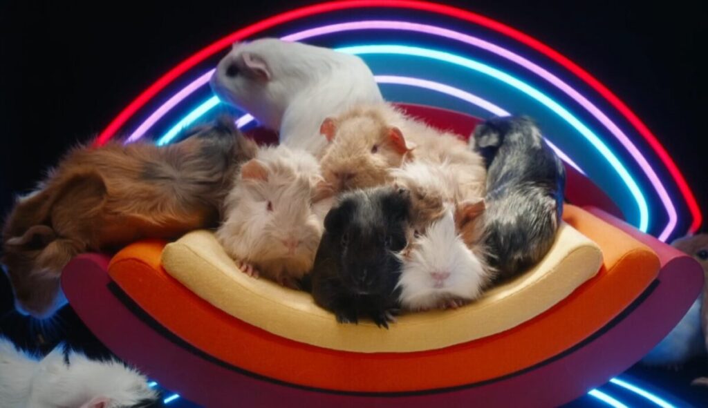 ITV is promoting its new series of Big Brother, with guinea pigs centre stage - complete with a miniature build of the iconic Big Brother house.
